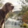 Nationalpark Krka Wasserfälle mit Hund: Ein guter Plan?